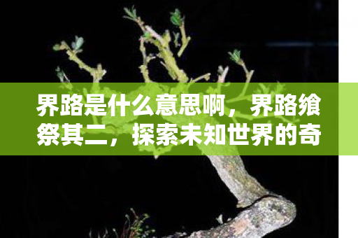 界路是什么意思啊,界路飨祭其二,探索未知世界的奇幻之旅 界路是什么意思啊,界路飨祭其二,探索未知世界的奇幻之旅
