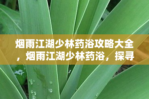 烟雨江湖少林药浴攻略大全,烟雨江湖少林药浴,探寻古刹秘境中的养生奇术 烟雨江湖少林药浴攻略大全,烟雨江湖少林药浴,探寻古刹秘境中的养生奇术