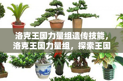 洛克王国力量组遗传技能,洛克王国力量组,探索王国中的力量之源 洛克王国力量组遗传技能,洛克王国力量组,探索王国中的力量之源