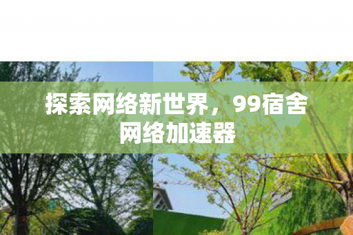 探索网络新世界,99宿舍网络加速器 探索网络新世界,99宿舍网络加速器