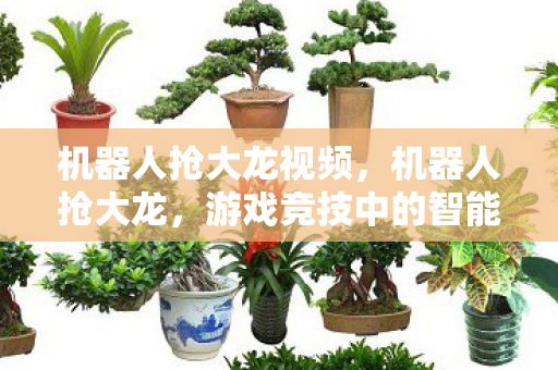 机器人抢大龙视频,机器人抢大龙,游戏竞技中的智能革命 机器人抢大龙视频,机器人抢大龙,游戏竞技中的智能革命