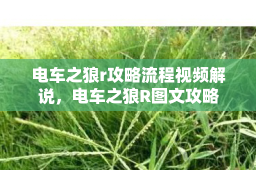 电车之狼r攻略流程视频解说,电车之狼R图文攻略 电车之狼r攻略流程视频解说,电车之狼R图文攻略