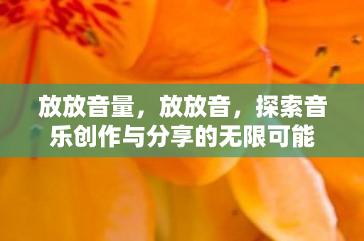 放放音量，放放音，探索音乐创作与分享的无限可能