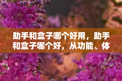 助手和盒子哪个好用,助手和盒子哪个好,从功能、体验与安全性全面对比 助手和盒子哪个好用,助手和盒子哪个好,从功能、体验与安全性全面对比