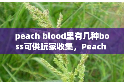 peach blood里有几种boss可供玩家收集,Peach Blood,探索游戏世界的独特魅力与无限可能 peach blood里有几种boss可供玩家收集,Peach Blood,探索游戏世界的独特魅力与无限可能