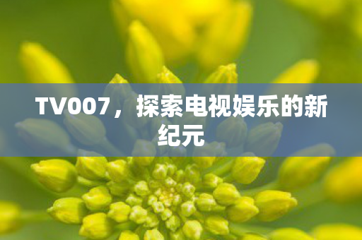 TV007,探索电视娱乐的新纪元 TV007,探索电视娱乐的新纪元