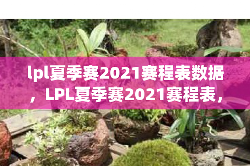 lpl夏季赛2021赛程表数据,LPL夏季赛2021赛程表,战火重燃,群雄逐鹿 lpl夏季赛2021赛程表数据,LPL夏季赛2021赛程表,战火重燃,群雄逐鹿