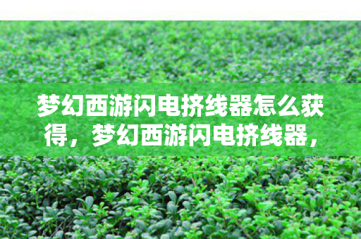 梦幻西游闪电挤线器怎么获得,梦幻西游闪电挤线器,高效、安全、合法的游戏工具 梦幻西游闪电挤线器怎么获得,梦幻西游闪电挤线器,高效、安全、合法的游戏工具