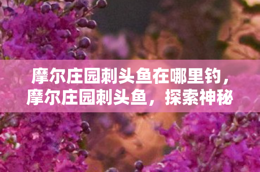 摩尔庄园刺头鱼在哪里钓,摩尔庄园刺头鱼,探索神秘水域的奇妙之旅 摩尔庄园刺头鱼在哪里钓,摩尔庄园刺头鱼,探索神秘水域的奇妙之旅