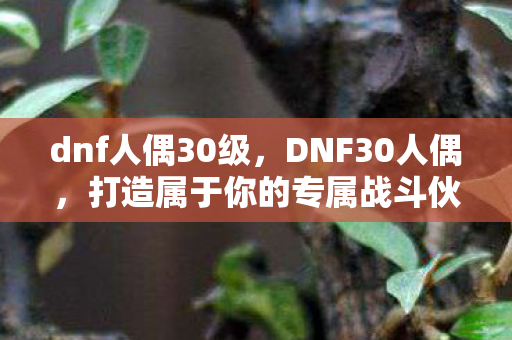 dnf人偶30级,DNF30人偶,打造属于你的专属战斗伙伴 dnf人偶30级,DNF30人偶,打造属于你的专属战斗伙伴
