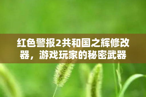 红色警报2共和国之辉修改器,游戏玩家的秘密武器 红色警报2共和国之辉修改器,游戏玩家的秘密武器