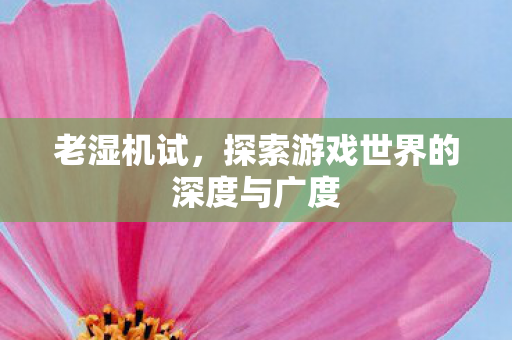 老湿机试,探索游戏世界的深度与广度 老湿机试,探索游戏世界的深度与广度
