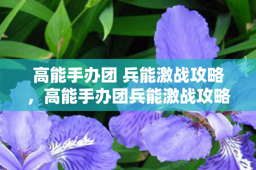 高能手办团 兵能激战攻略,高能手办团兵能激战攻略 高能手办团 兵能激战攻略,高能手办团兵能激战攻略