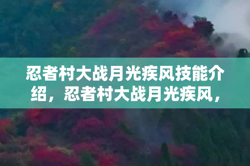 忍者村大战月光疾风技能介绍，忍者村大战月光疾风，一场跨时空的激战