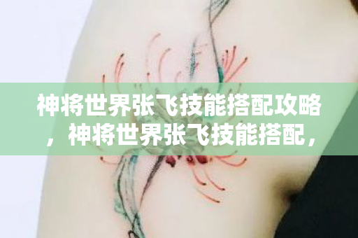 神将世界张飞技能搭配攻略,神将世界张飞技能搭配,打造最强战力的策略指南 神将世界张飞技能搭配攻略,神将世界张飞技能搭配,打造最强战力的策略指南