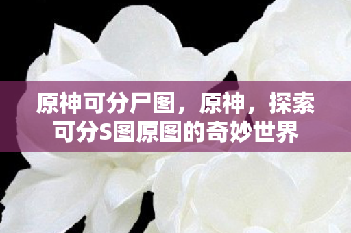 原神可分尸图,原神,探索可分S图原图的奇妙世界 原神可分尸图,原神,探索可分S图原图的奇妙世界