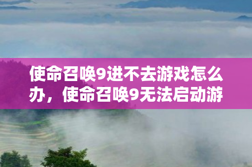 使命召唤9进不去游戏怎么办，使命召唤9无法启动游戏解决方案