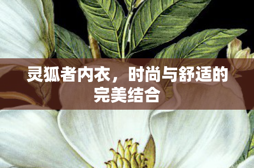 灵狐者内衣,时尚与舒适的完美结合 灵狐者内衣,时尚与舒适的完美结合