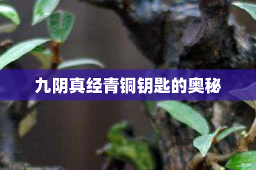 九阴真经青铜钥匙的奥秘 九阴真经青铜钥匙的奥秘