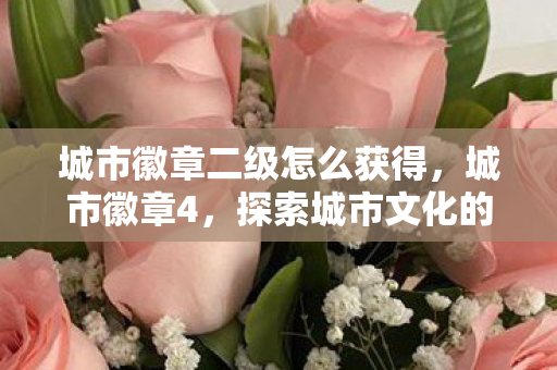 城市徽章二级怎么获得,城市徽章4,探索城市文化的独特魅力 城市徽章二级怎么获得,城市徽章4,探索城市文化的独特魅力