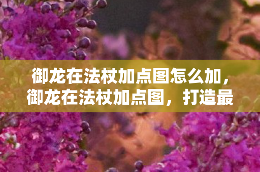御龙在法杖加点图怎么加,御龙在法杖加点图,打造最强法师的加点攻略 御龙在法杖加点图怎么加,御龙在法杖加点图,打造最强法师的加点攻略