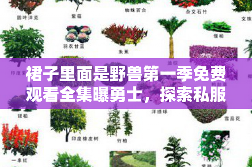 裙子里面是野兽第一季免费观看全集曝勇士,探索私服世界的独特魅力与玩家心声 裙子里面是野兽第一季免费观看全集曝勇士,探索私服世界的独特魅力与玩家心声
