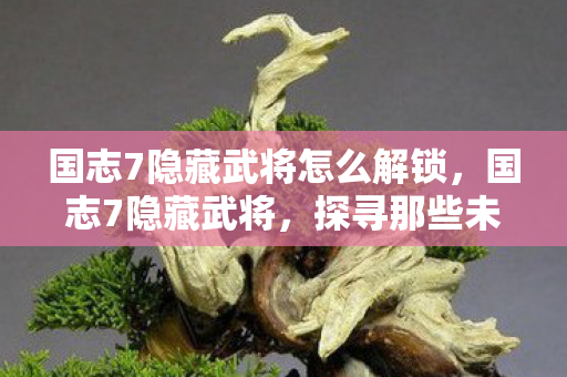 国志7隐藏武将怎么解锁，国志7隐藏武将，探寻那些未被发掘的传奇人物