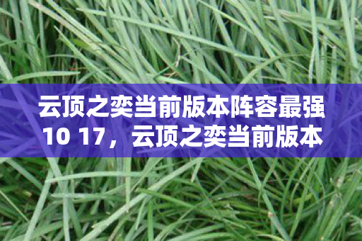 云顶之奕当前版本阵容最强10 17,云顶之奕当前版本阵容最强 云顶之奕当前版本阵容最强10 17,云顶之奕当前版本阵容最强