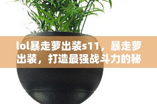 lol暴走萝出装s11,暴走萝出装,打造最强战斗力的秘密 lol暴走萝出装s11,暴走萝出装,打造最强战斗力的秘密