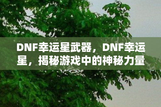 DNF幸运星武器,DNF幸运星,揭秘游戏中的神秘力量 DNF幸运星武器,DNF幸运星,揭秘游戏中的神秘力量