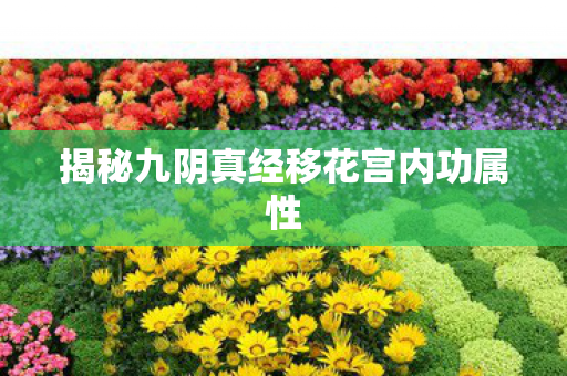 揭秘九阴真经移花宫内功属性 揭秘九阴真经移花宫内功属性