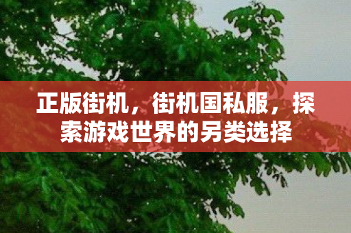 正版街机,街机国私服,探索游戏世界的另类选择 正版街机,街机国私服,探索游戏世界的另类选择