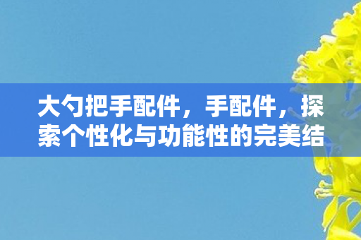 大勺把手配件,手配件,探索个性化与功能性的完美结合 大勺把手配件,手配件,探索个性化与功能性的完美结合
