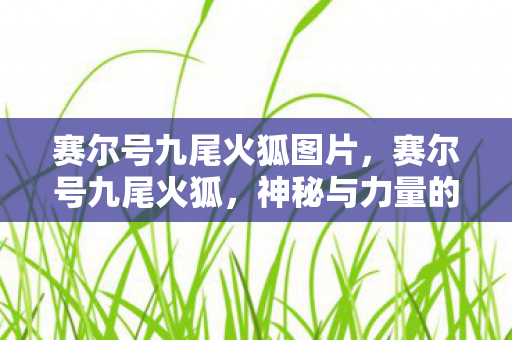 赛尔号九尾火狐图片，赛尔号九尾火狐，神秘与力量的化身