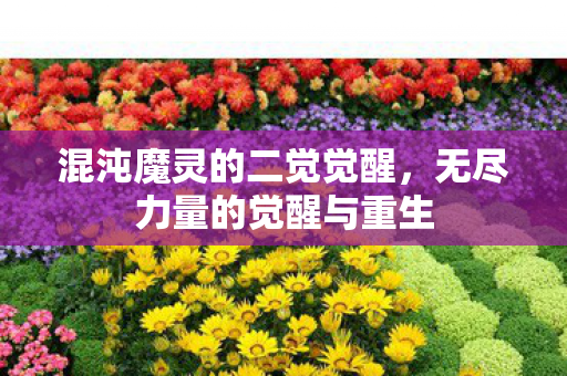 混沌魔灵的二觉觉醒,无尽力量的觉醒与重生 混沌魔灵的二觉觉醒,无尽力量的觉醒与重生
