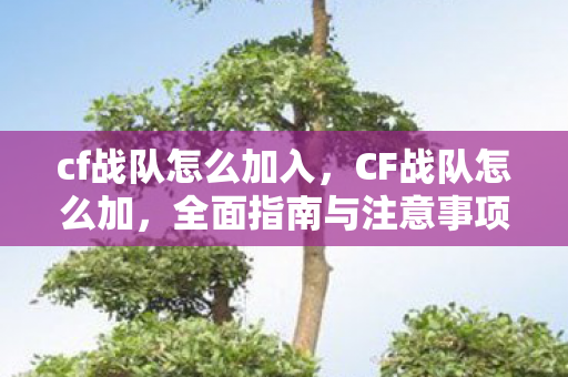 cf战队怎么加入,CF战队怎么加,全面指南与注意事项 cf战队怎么加入,CF战队怎么加,全面指南与注意事项
