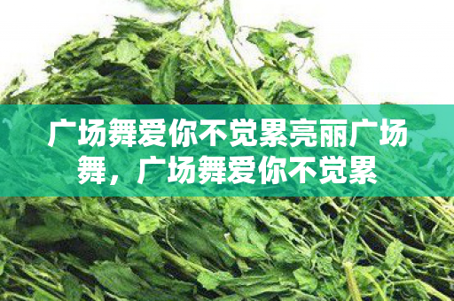广场舞爱你不觉累亮丽广场舞,广场舞爱你不觉累 广场舞爱你不觉累亮丽广场舞,广场舞爱你不觉累