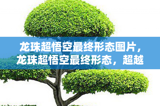 龙珠超悟空最终形态图片,龙珠超悟空最终形态,超越一切的力量 龙珠超悟空最终形态图片,龙珠超悟空最终形态,超越一切的力量