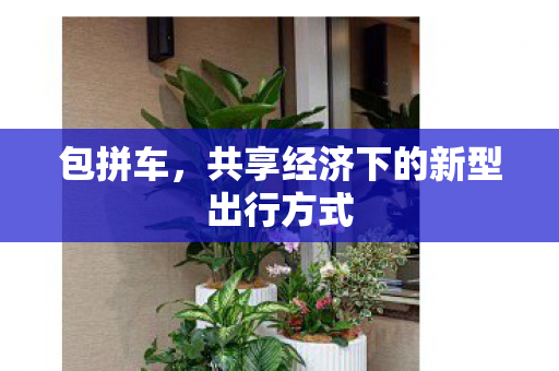 包拼车,共享经济下的新型出行方式 包拼车,共享经济下的新型出行方式