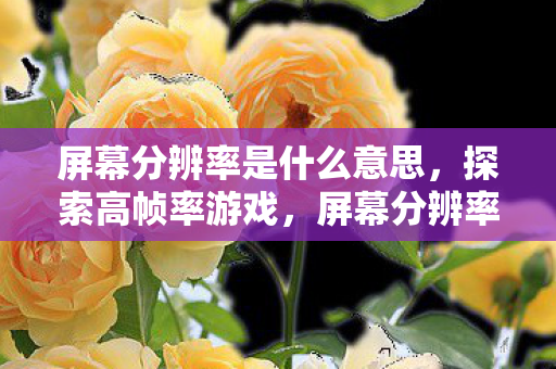 屏幕分辨率是什么意思,探索高帧率游戏,屏幕分辨率的重要性与提升策略 屏幕分辨率是什么意思,探索高帧率游戏,屏幕分辨率的重要性与提升策略