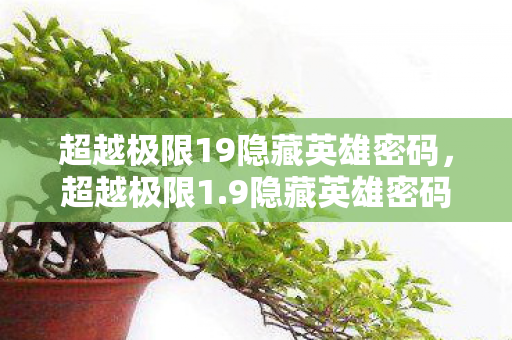 超越极限19隐藏英雄密码,超越极限1.9隐藏英雄密码,解锁未知力量的神秘钥匙 超越极限19隐藏英雄密码,超越极限1.9隐藏英雄密码,解锁未知力量的神秘钥匙