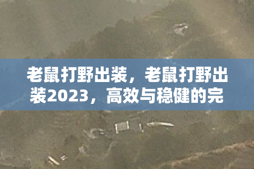 老鼠打野出装,老鼠打野出装2023,高效与稳健的完美结合 老鼠打野出装,老鼠打野出装2023,高效与稳健的完美结合