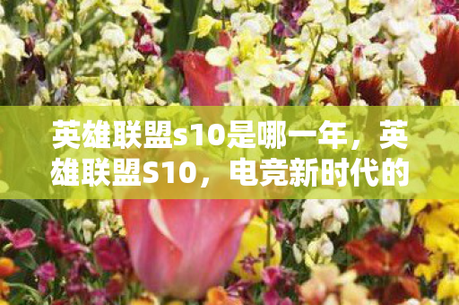 英雄联盟s10是哪一年,英雄联盟S10,电竞新时代的里程碑 英雄联盟s10是哪一年,英雄联盟S10,电竞新时代的里程碑