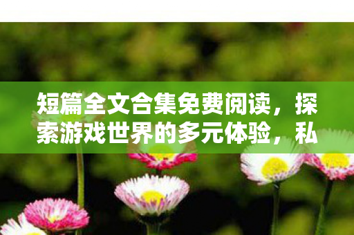 短篇全文合集免费阅读，探索游戏世界的多元体验，私服与官方服务器的独特魅力