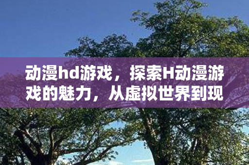 动漫hd游戏，探索H动漫游戏的魅力，从虚拟世界到现实生活的桥梁