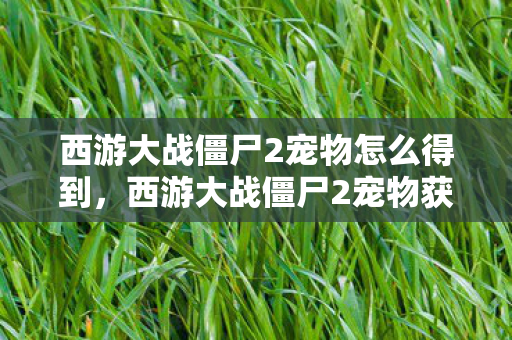 西游大战僵尸2宠物怎么得到,西游大战僵尸2宠物获取攻略 西游大战僵尸2宠物怎么得到,西游大战僵尸2宠物获取攻略