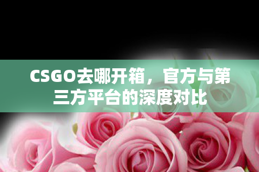 CSGO去哪开箱,官方与第三方平台的深度对比 CSGO去哪开箱,官方与第三方平台的深度对比