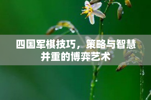 四国军棋技巧,策略与智慧并重的博弈艺术 四国军棋技巧,策略与智慧并重的博弈艺术