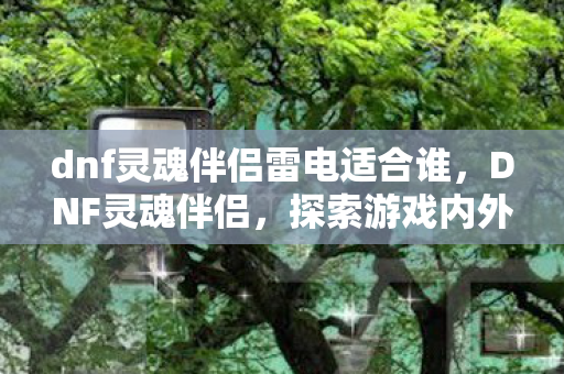 dnf灵魂伴侣雷电适合谁,DNF灵魂伴侣,探索游戏内外的深厚情感纽带 dnf灵魂伴侣雷电适合谁,DNF灵魂伴侣,探索游戏内外的深厚情感纽带