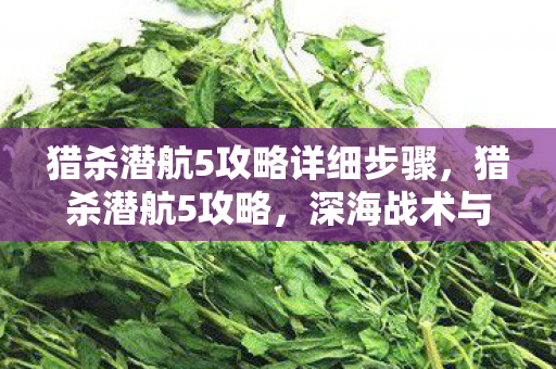 猎杀潜航5攻略详细步骤,猎杀潜航5攻略,深海战术与潜艇操作指南 猎杀潜航5攻略详细步骤,猎杀潜航5攻略,深海战术与潜艇操作指南